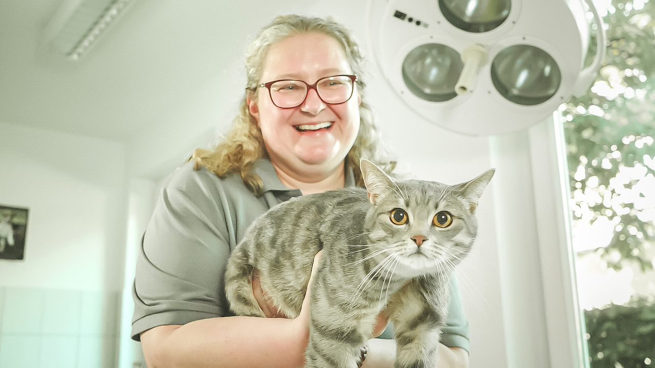 Tierarzt München-Laim: Tierärztin Frau Godin holt eine Katze für die Untersuchung aus ihrer Transportbox
