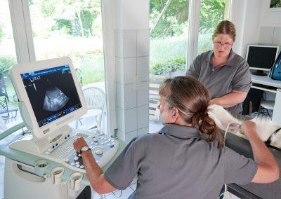 tierarzt-laim-ultraschall